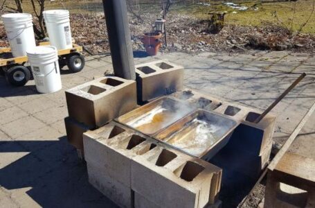 Why We Make Our Own Maple Syrup Image